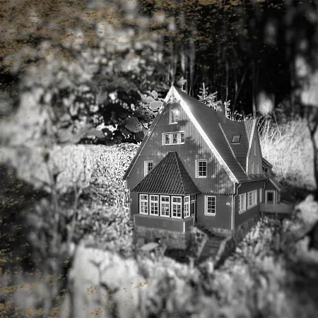 Brockenhexe Apartment Braunlage